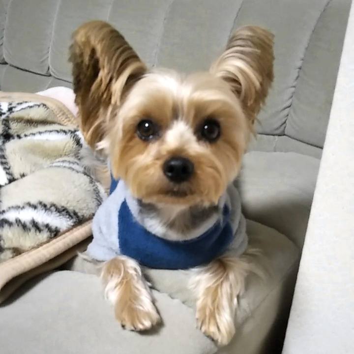 17ad739a 7393 4534 9dac 984dc1a9e7eb 1639468824885