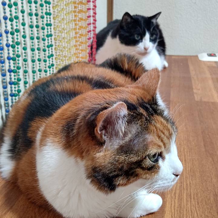 17ad8f03 2eed 46da 8602 8a71ad78f89f 1642086331374