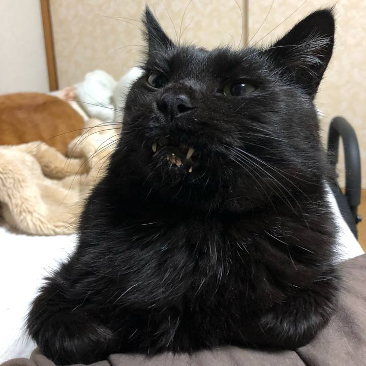 17adb297 6c92 4357 9c44 dc61836611bf 1634398175851