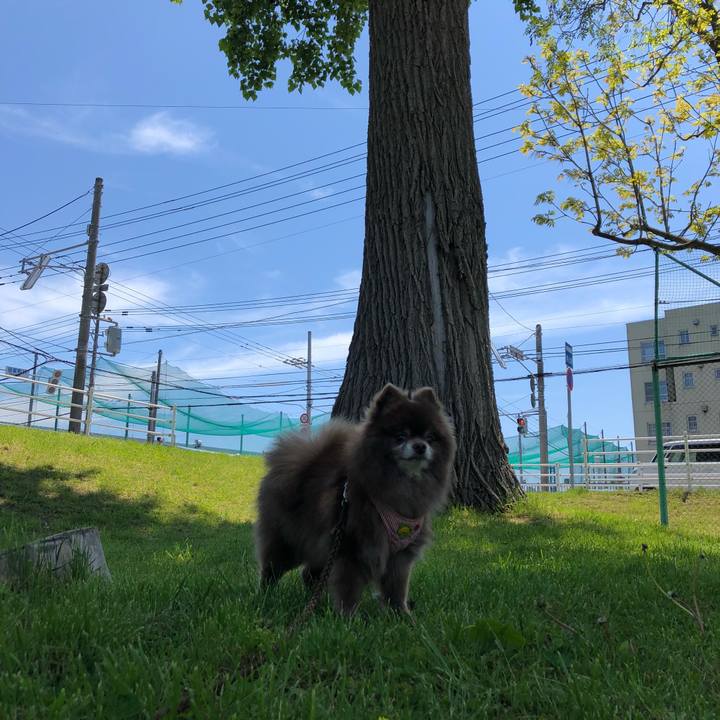 17adc3dc 2422 480a b46b 53ce266a9c2d 1590957704579