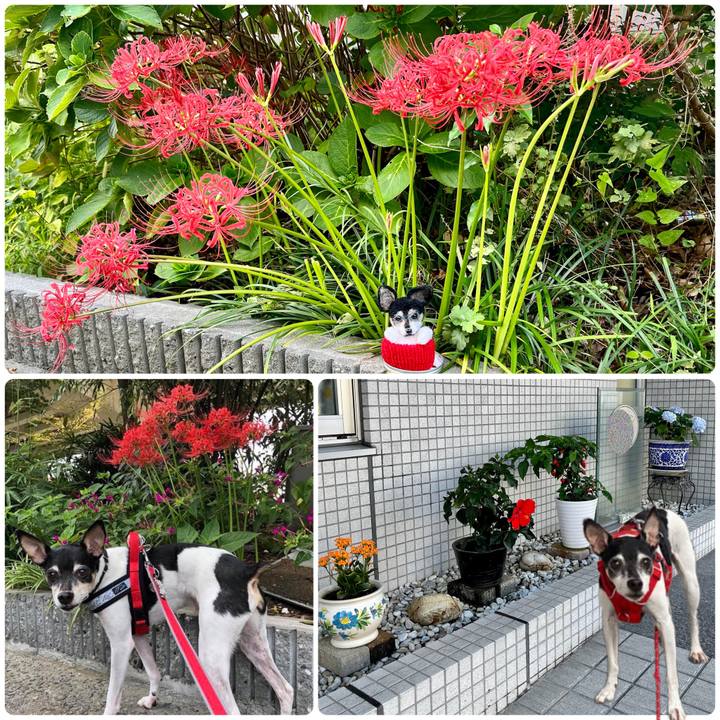 17adc56d d642 4134 b5ac 2b2325ac2f8a 1664012889791