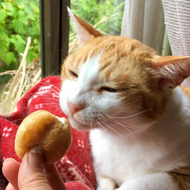 17ae056a 5c10 4c4d bf8b e375b249e98f 1597728365750