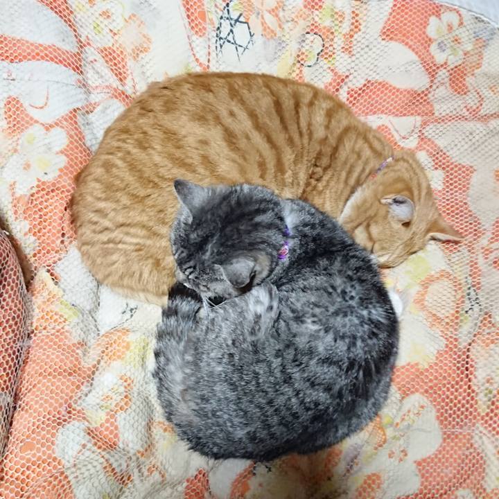 17ae28bd fdf3 4e8e 9e9c 73b26de57922 1578139908958