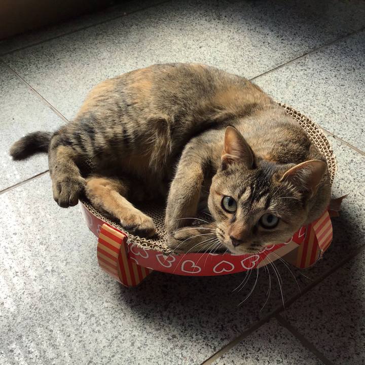 17ae9d3e c7ec 4bcf ae9e 8a9a4269f3e8 1582256215669