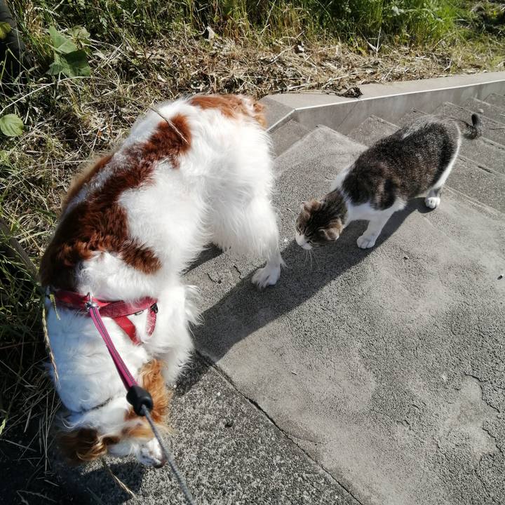 17aea0ee 0f1b 4c50 9915 733249d77fdf 1590623220924