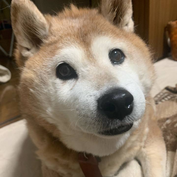 17aeb723 33c2 4c3e b8d6 26dadb23f00c 1610184621587