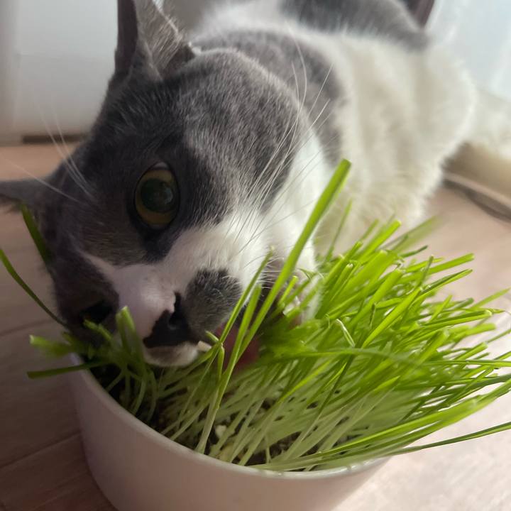 17aec231 a189 41d0 9436 dbf333937cd3 1740870937404