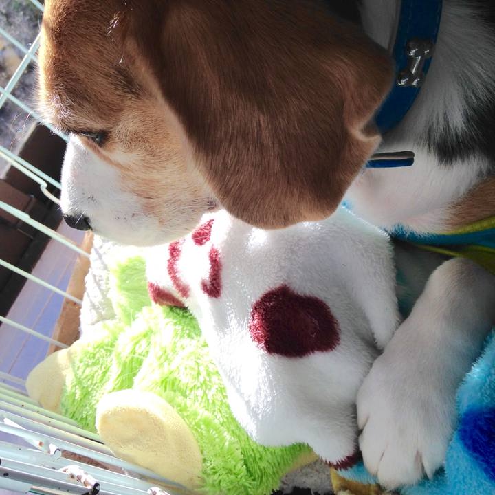 17af43f1 0662 4148 8255 df35b1802bdc 1736569258884