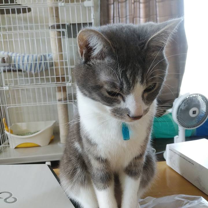 17af4ae4 0d0b 440f a21d 711d242bd766 1588894364954