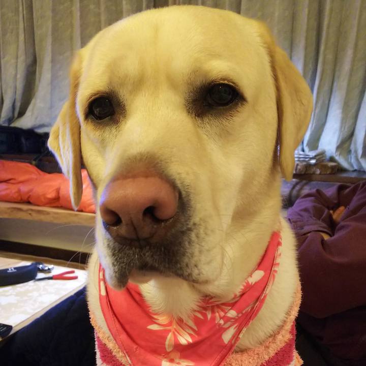 17af564f a7e2 408f a969 bff51a224094 1546252590282