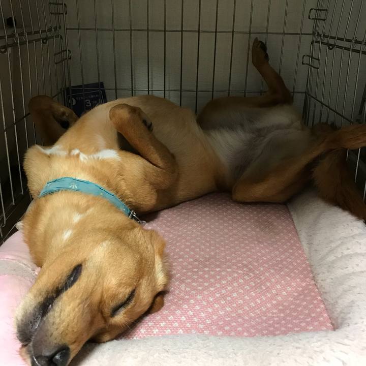 17af58ae 75a0 48a0 9ed3 10ed04fbdcd8 1507811512414