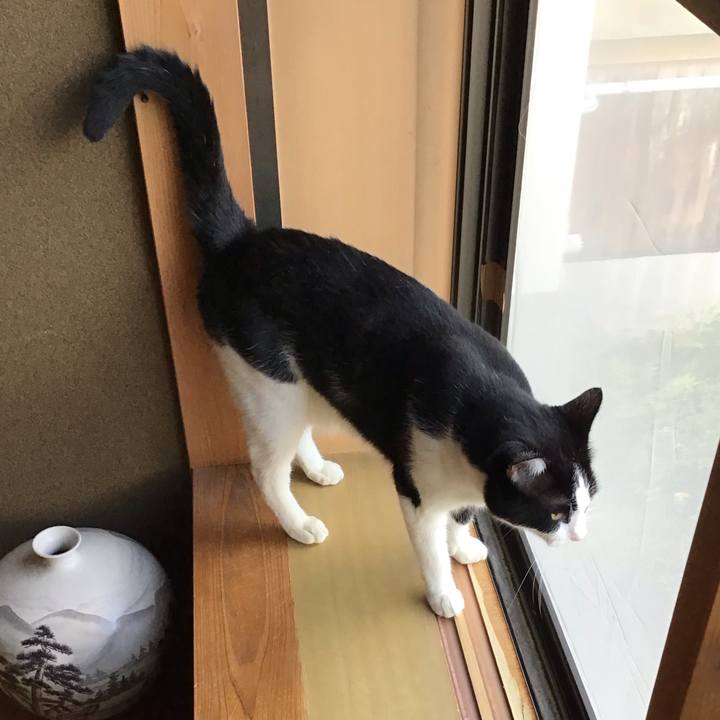 17af8a53 2da2 4869 bc4e 0da523304d86 1725260322115