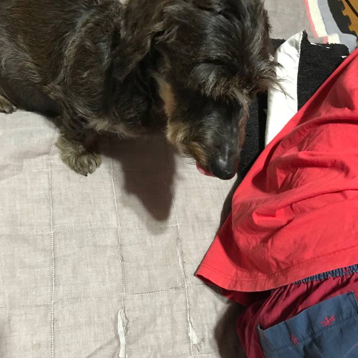 17af961f 2cc7 435d 8162 6bea6fcd132c 1537800254861