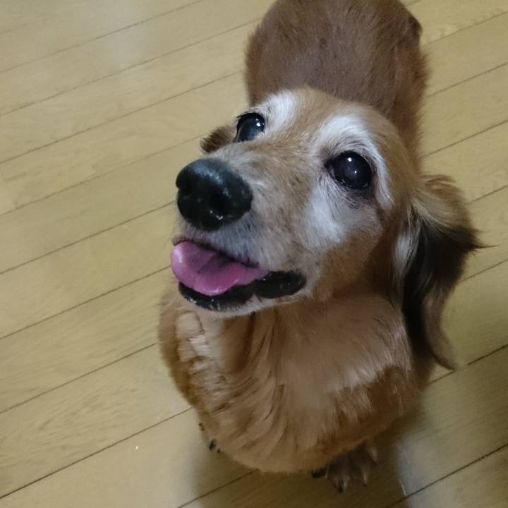 17afb588 33df 4f5f 8e25 994379e17c36 1577896853943