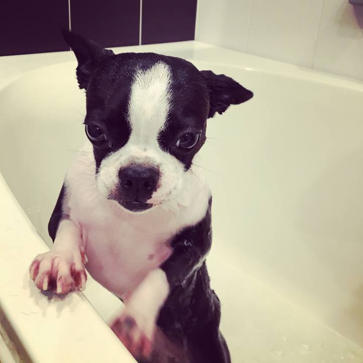 17afba6d c3ee 4a0b b054 16fe67ab45af 1530086021735