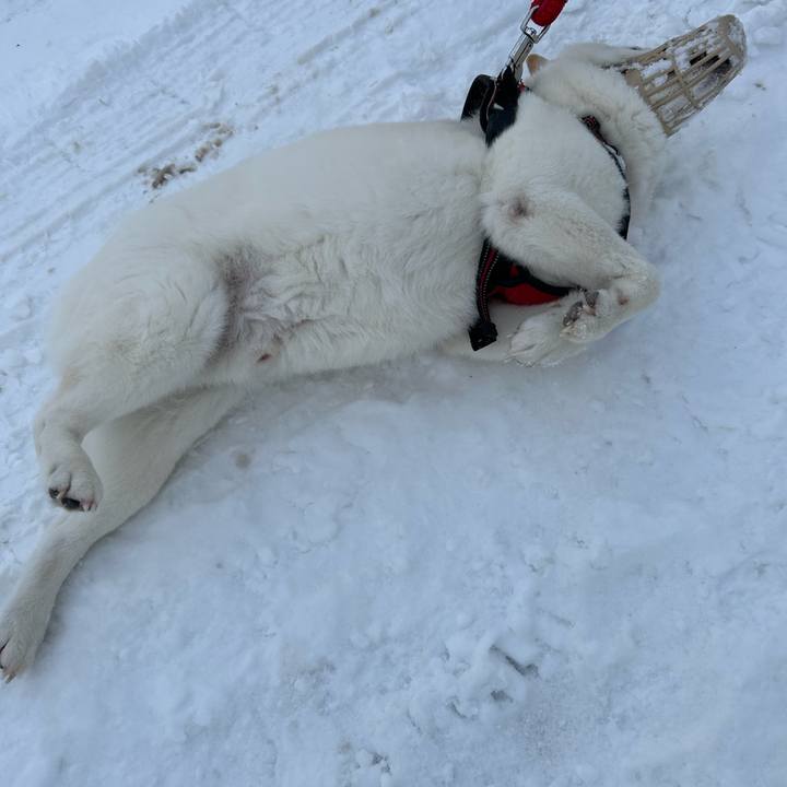 17afea75 e319 458b b777 139f8021610e 1705965405530