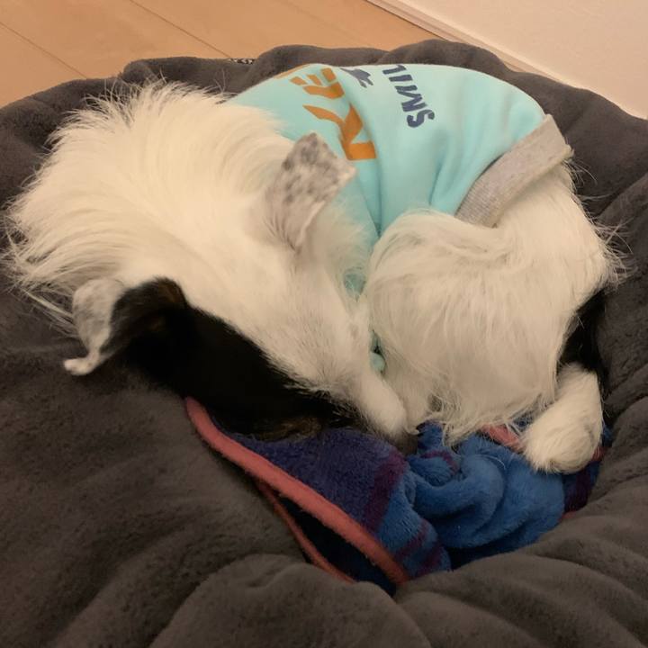 17aff4df 5288 43bf b027 f69875f6f4dc 1645192136458