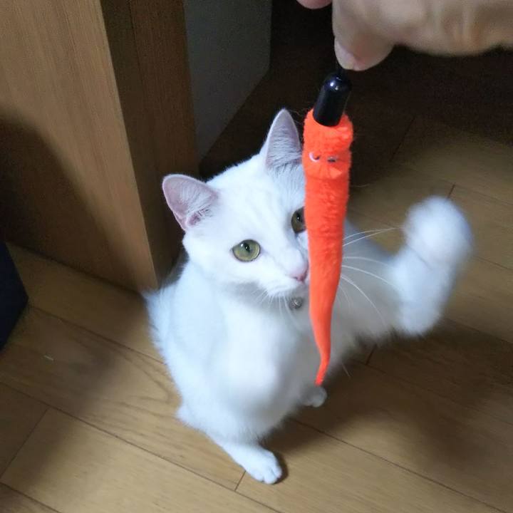 17b02f79 f632 416d 92c0 7f1b23b1a21b 1624624170730