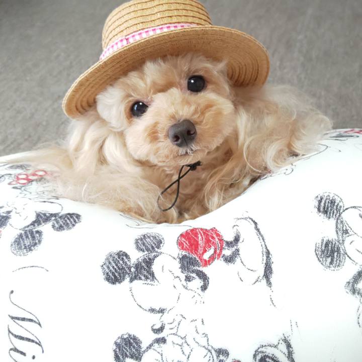 17b03a98 419e 4360 a347 9810f71f9fdd 1596670739572