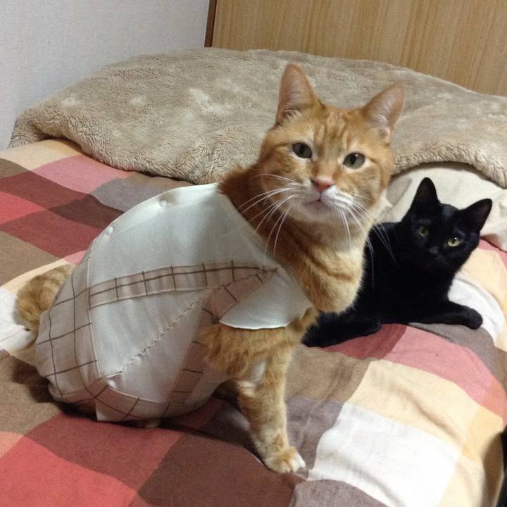 17b048dc 75b8 467f b4b4 5120c3d13803 1681038919045