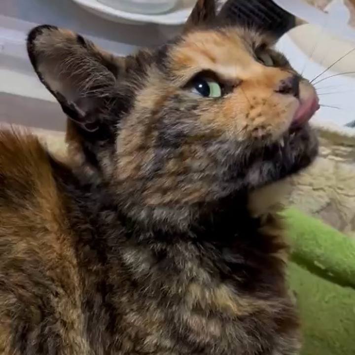 17b0622e 9d5e 4cd3 9e08 1510381d9f5b 1745613633706