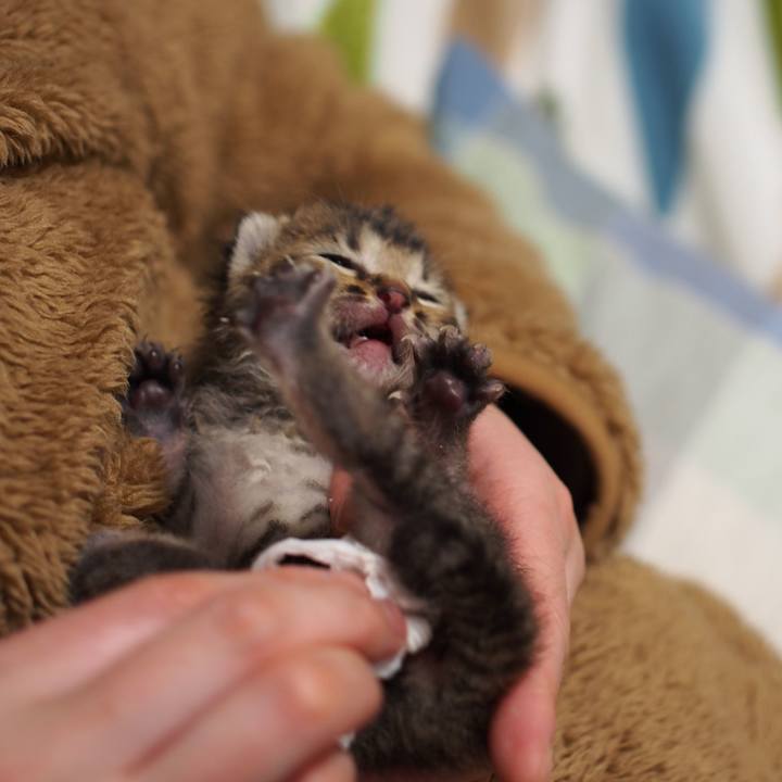 17b0634c fcbe 4ca7 ac33 f80af7f225a1 1558616950249