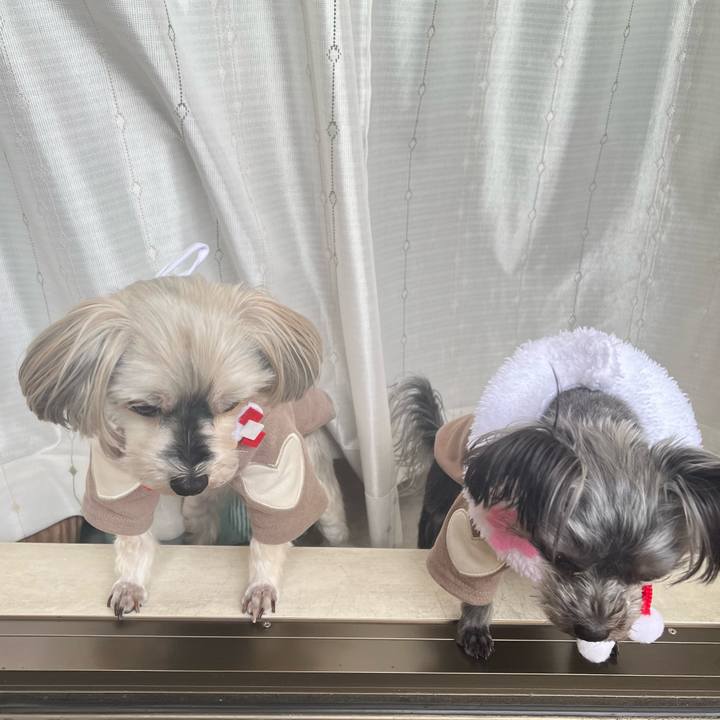 17b07ee2 5e20 4e1f 8076 bd249219c684 1767223202356