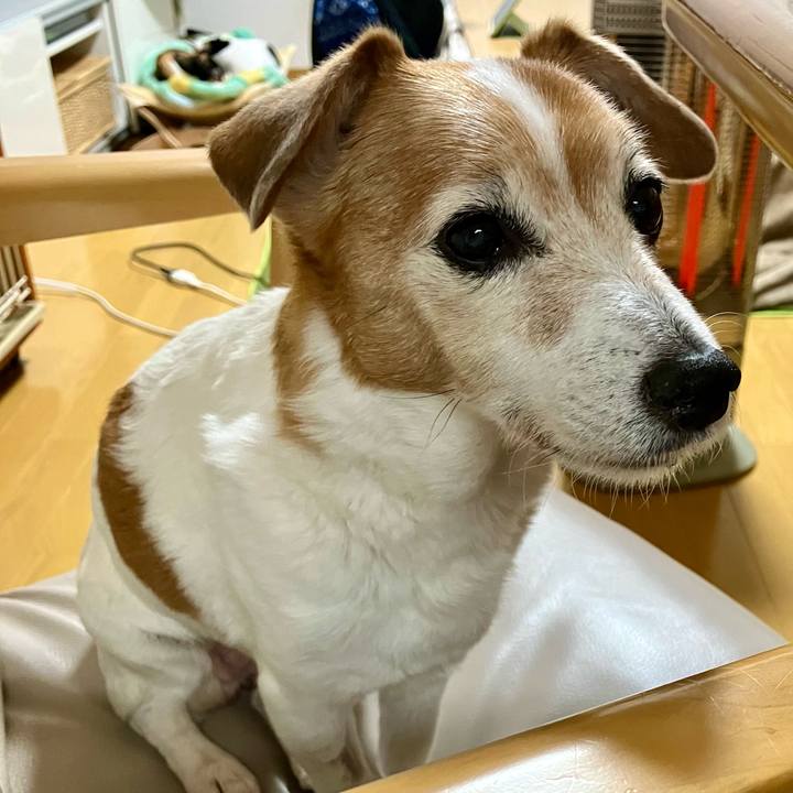 17b0890d 5e4e 458c 99cf a79d5d7175db 1700999105255