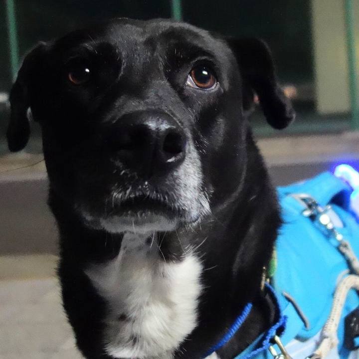 17b09af8 8ece 49ec 8198 1c6471a8977a 1671966254396