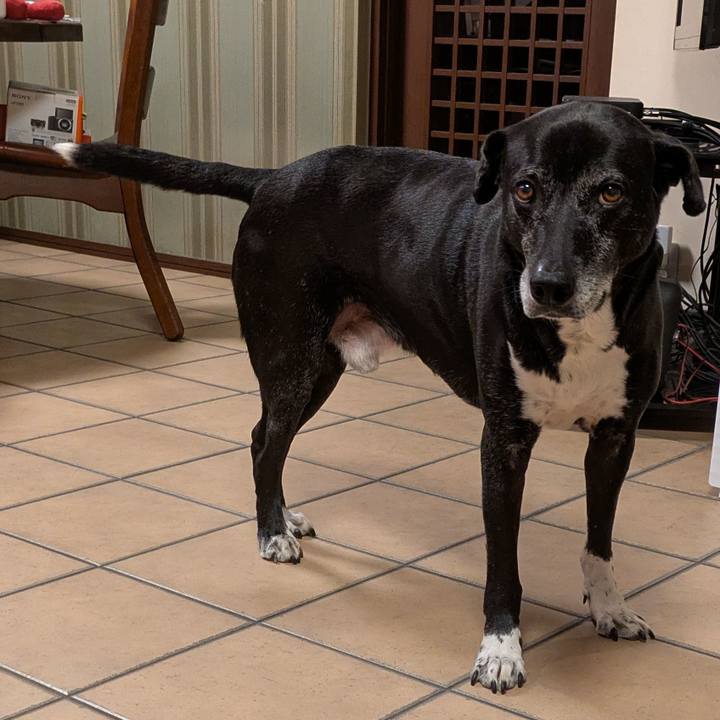 17b09dd3 115c 4087 a428 58f4c49da274 1767179670045