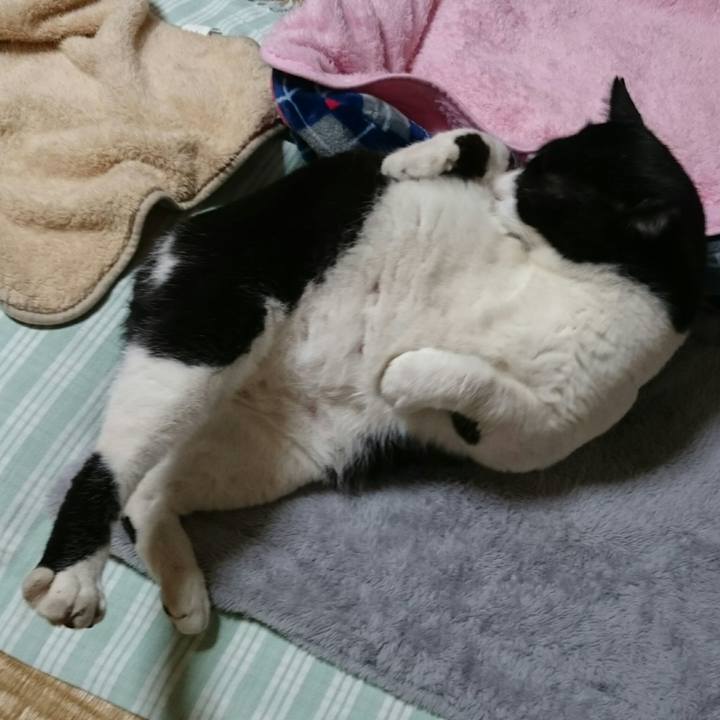 17b0c100 b51a 4205 b7a1 83cc1762a570 1508323884751