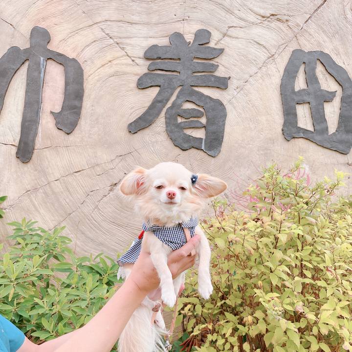 17b0c1bc 9a22 4fa0 a818 4277b1a8e9ee 1663659420455