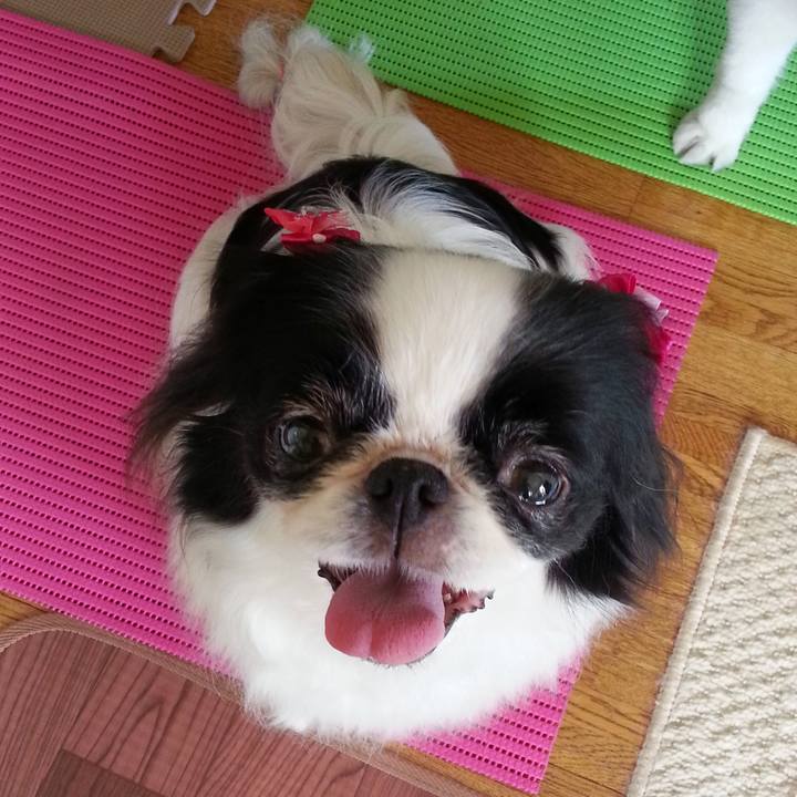 17b0ca22 baa2 42e5 9a41 7f310e4ccfb7 1666410965338