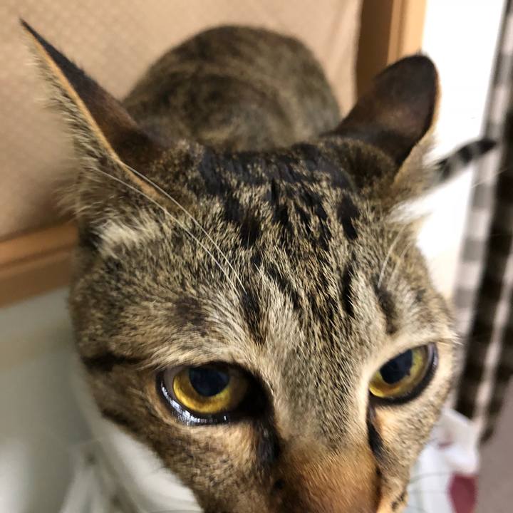 17b0ca4d 39bc 4643 b0a6 8e700fb2167d 1523636738999