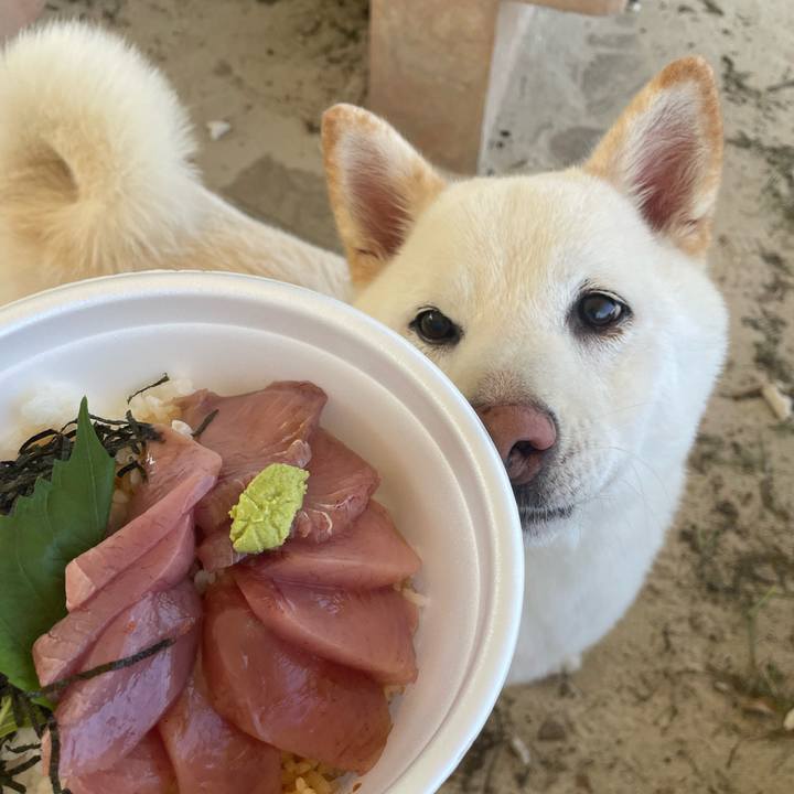 17b0cb0f df74 455d a936 53fcf2570afe 1663903918634