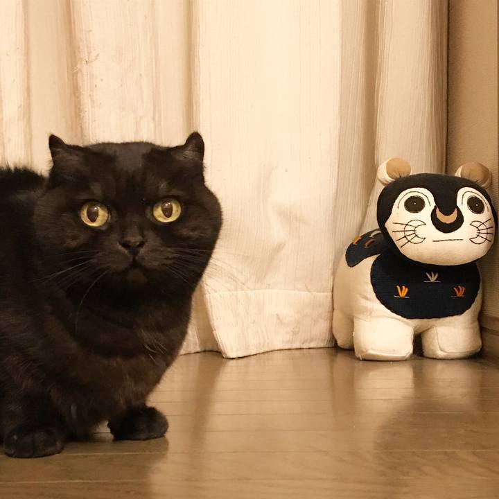 17b0f876 3e41 4390 8204 568231da78d9 1513175596414