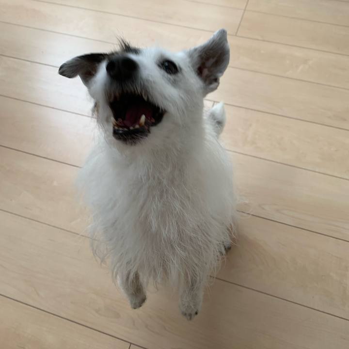 17b117f6 38e8 439d a43e 944bd6933c50 1746754005670