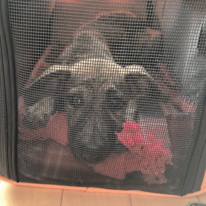 17b13974 7636 46a3 a4e7 6adb8bfd744c 1568960429546