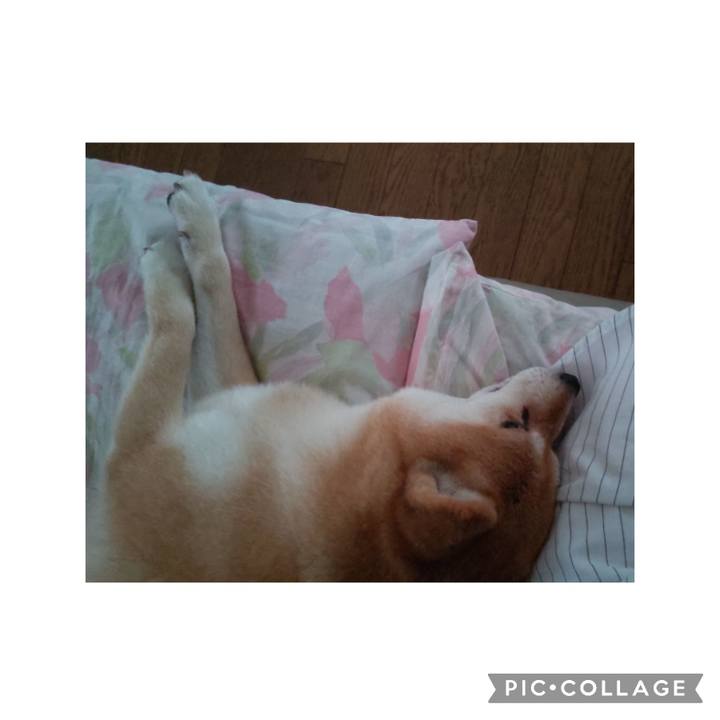 17b18e7a c2f2 45a2 82ca 7ee9392bbc55 1755221030295