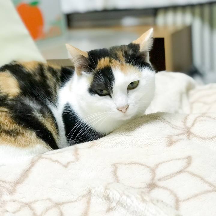 17b21b26 c2d6 4327 827b cc6ac1245eb1 1515400052842