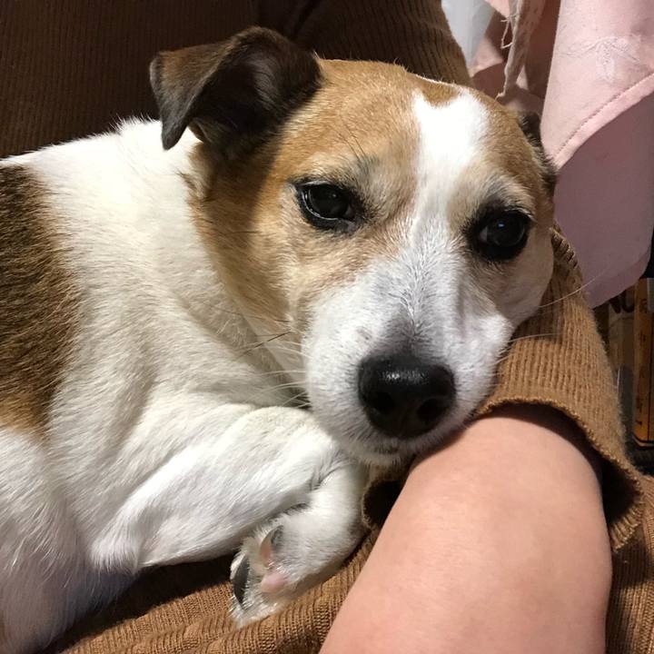 17b238db 3fe3 42b7 940e 4f46cc31e3c7 1515337774139