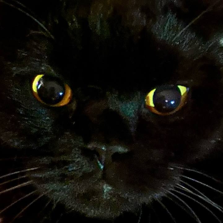 17b2926d 9f1e 46c0 a504 9d57af5c91d1 1723114384590