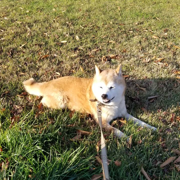 17b2958c 2106 4aae 833a 60b089ec632b 1699511409808