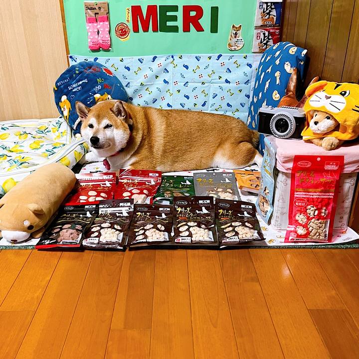 17b2cd94 8e2a 44d1 99c3 b9686970a4a7 1657273335467