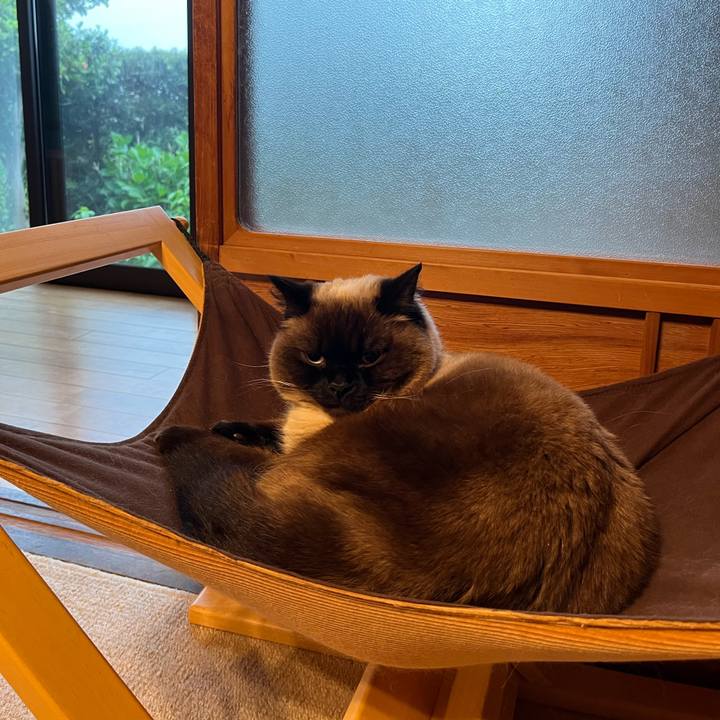 17b2ea6b d13a 429c b043 4176c6331106 1650855537707