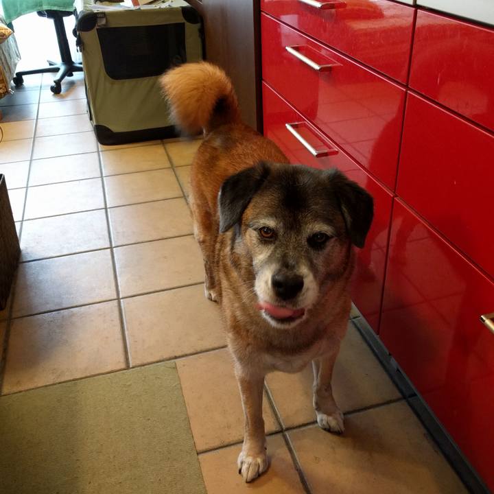 17b3010c 3153 4866 b2bb e6ad2238d75e 1529541217639