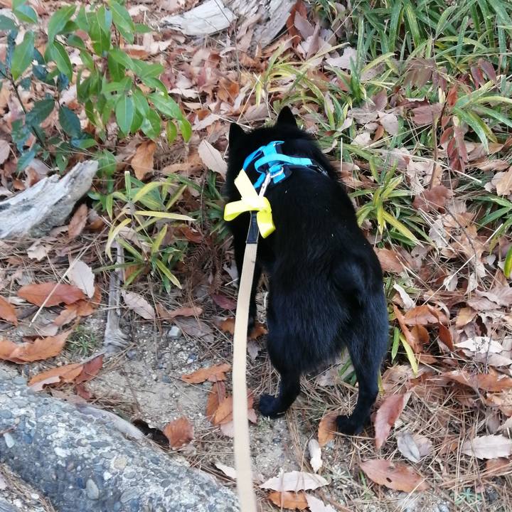 17b30be0 0031 4298 8208 17cb5754ec07 1641688618505