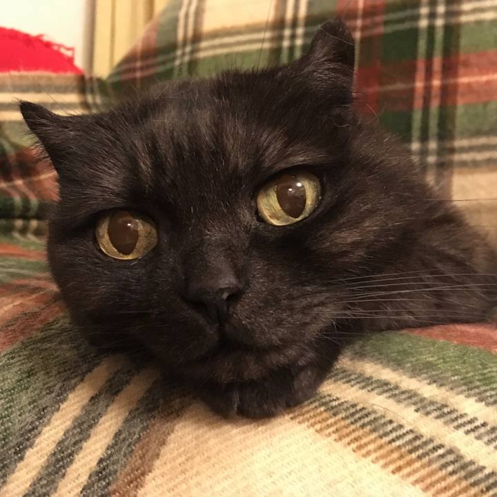 17b31180 005f 4bdb a9b7 4bec5213505e 1524590164671