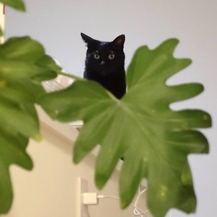 17b344f2 9c9e 4363 85b0 77741f19d893 1551974232096