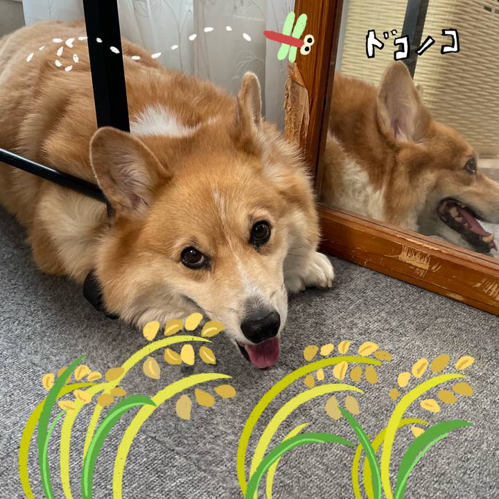 17b38ef7 4aae 40c9 a1fc a9ad46e5ca84 1761463817314